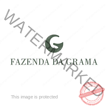 FAZENDA DA GRAMA