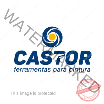 Castor Ferramentas p/ Pintura